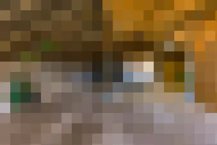 Beumeesweg 111 Alteveer thumbnail 49
