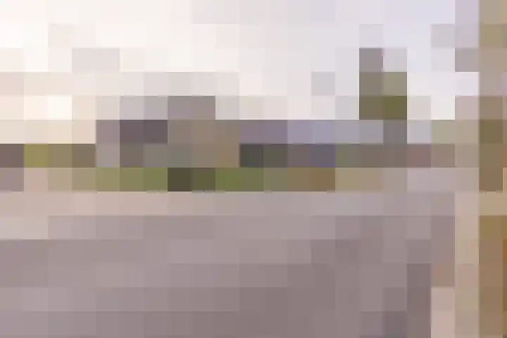 Beumeesweg 111 Alteveer thumbnail 5