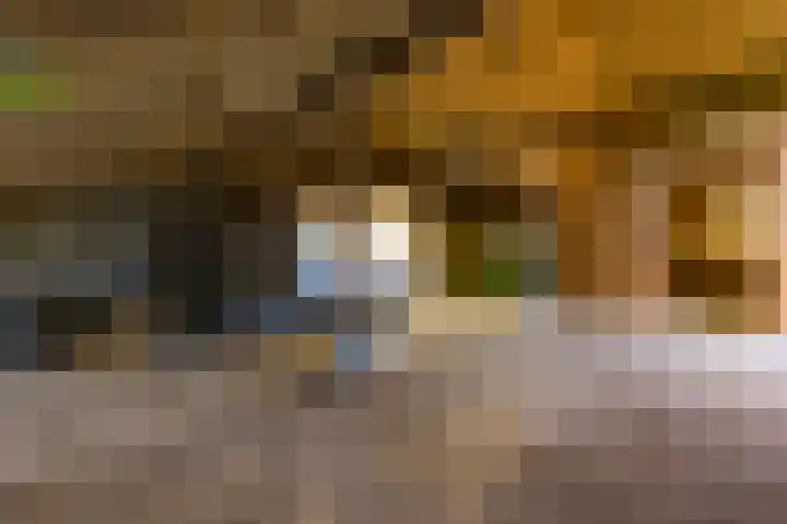 Beumeesweg 111 Alteveer thumbnail 50