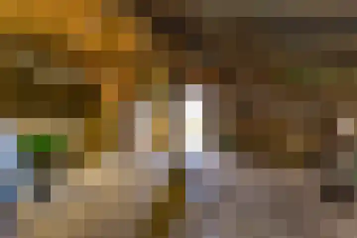 Beumeesweg 111 Alteveer thumbnail 51