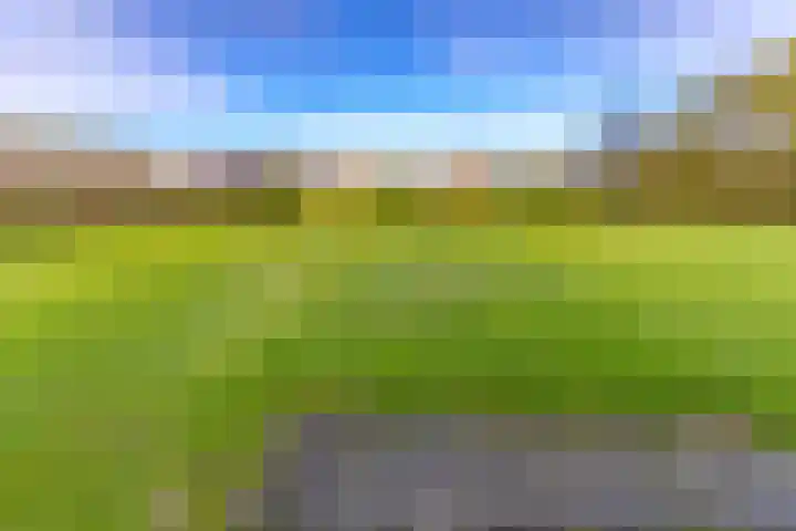 Beumeesweg 111 Alteveer thumbnail 53