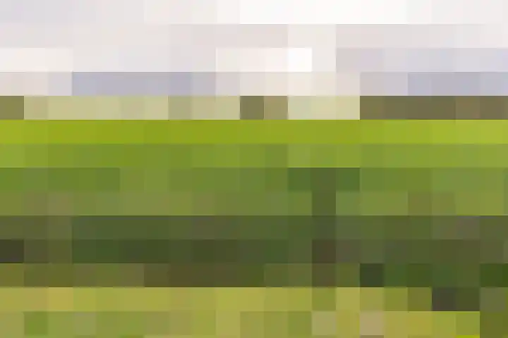 Beumeesweg 111 Alteveer thumbnail 54