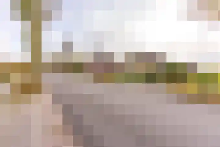 Beumeesweg 111 Alteveer thumbnail 6