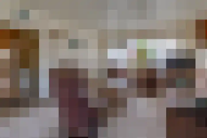 Beumeesweg 111 Alteveer thumbnail 7