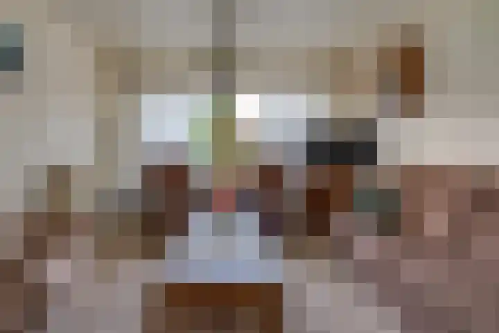 Beumeesweg 111 Alteveer thumbnail 8