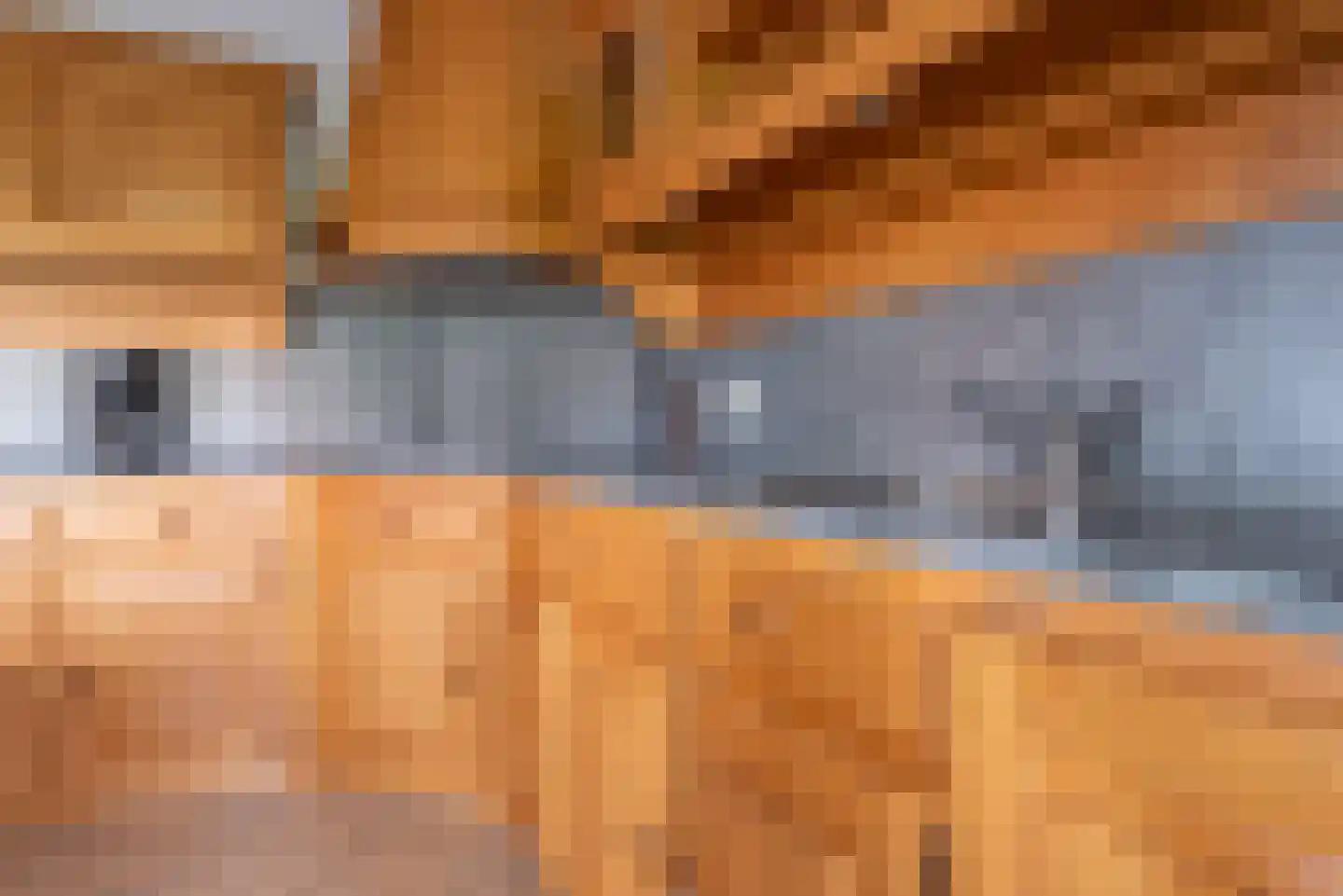 Beumeesweg 129 C Alteveer thumbnail 10