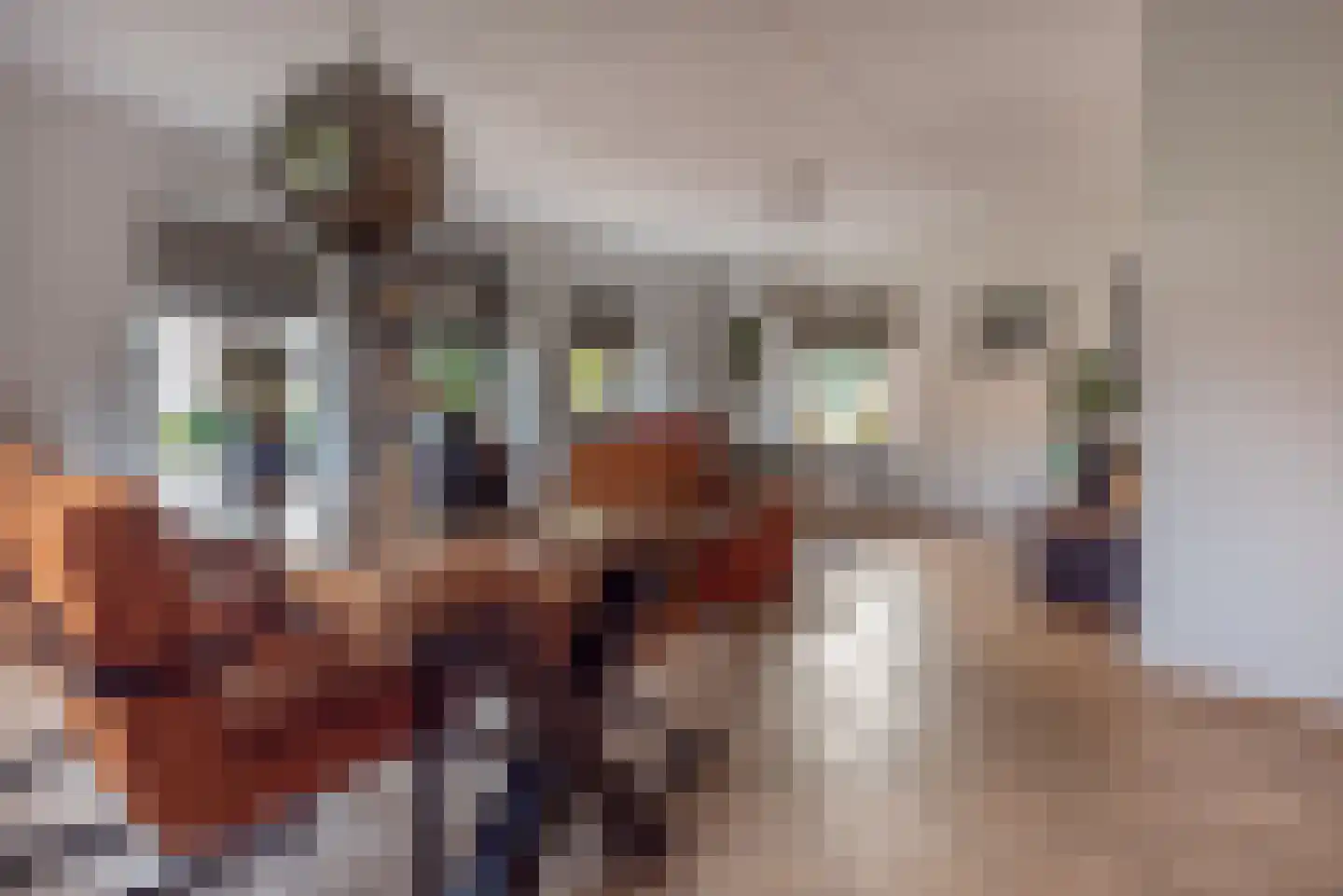 Beumeesweg 129 C Alteveer thumbnail 11