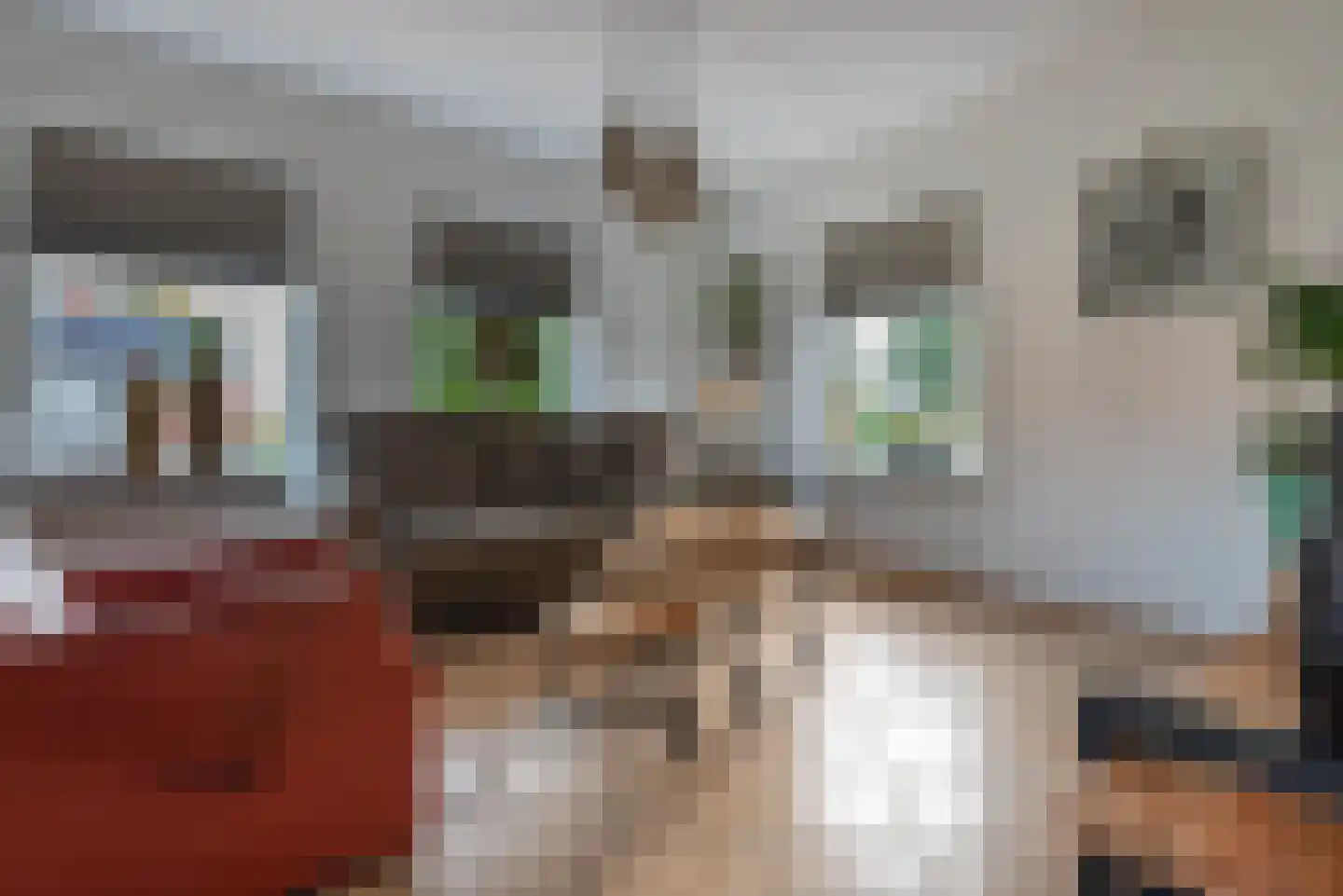 Beumeesweg 129 C Alteveer thumbnail 14