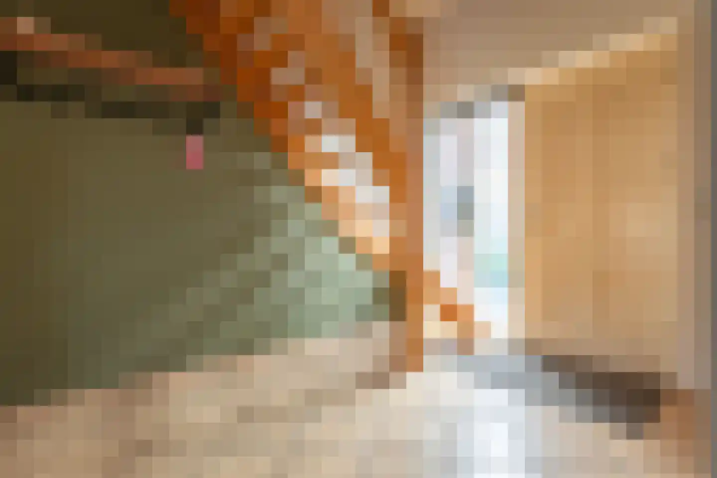 Beumeesweg 129 C Alteveer thumbnail 7