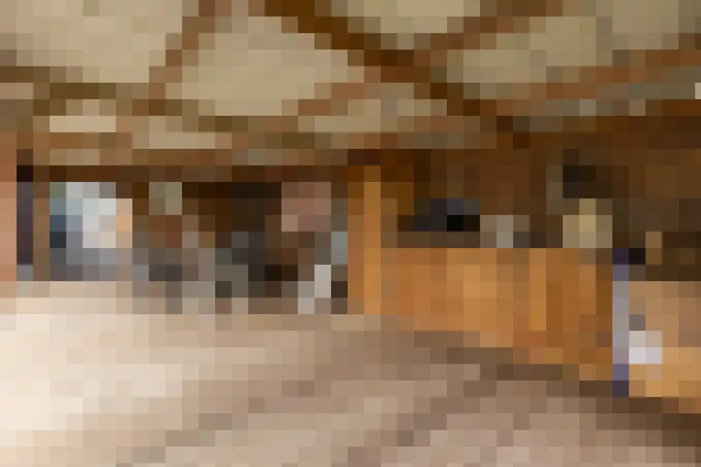 Beumeesweg 130 Alteveer thumbnail 12