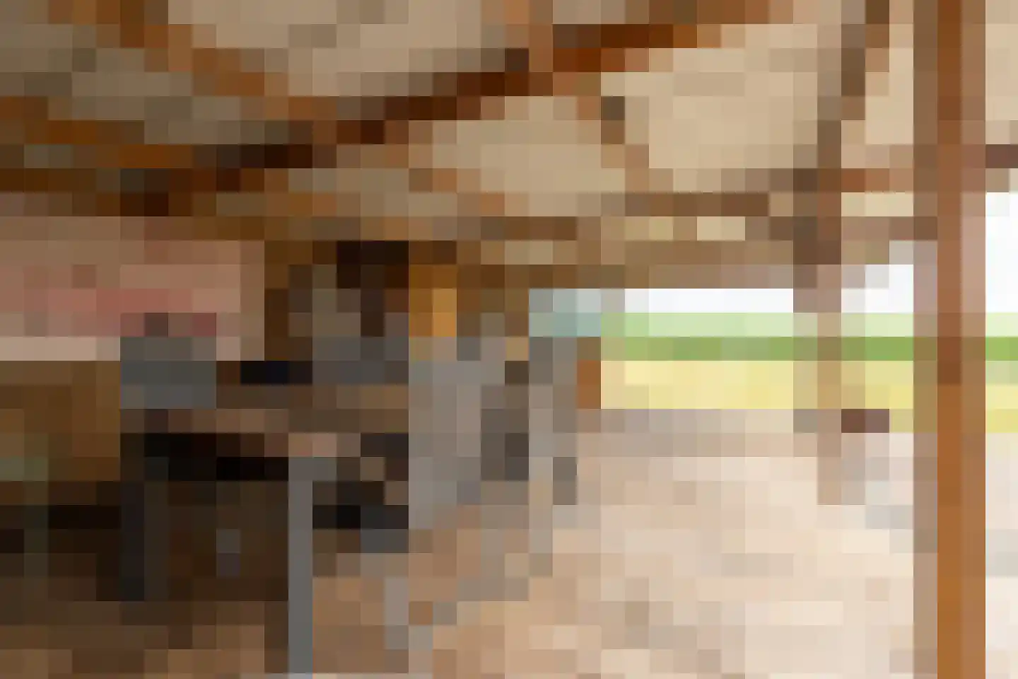 Beumeesweg 130 Alteveer thumbnail 13
