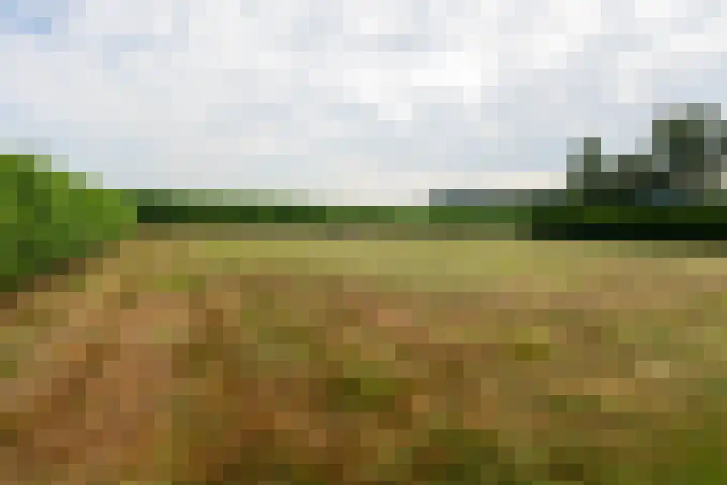 Beumeesweg 130 Alteveer thumbnail 16
