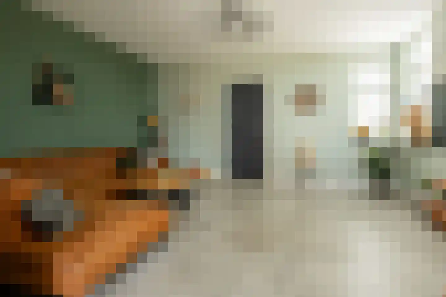 Beumeesweg 130 Alteveer thumbnail 23