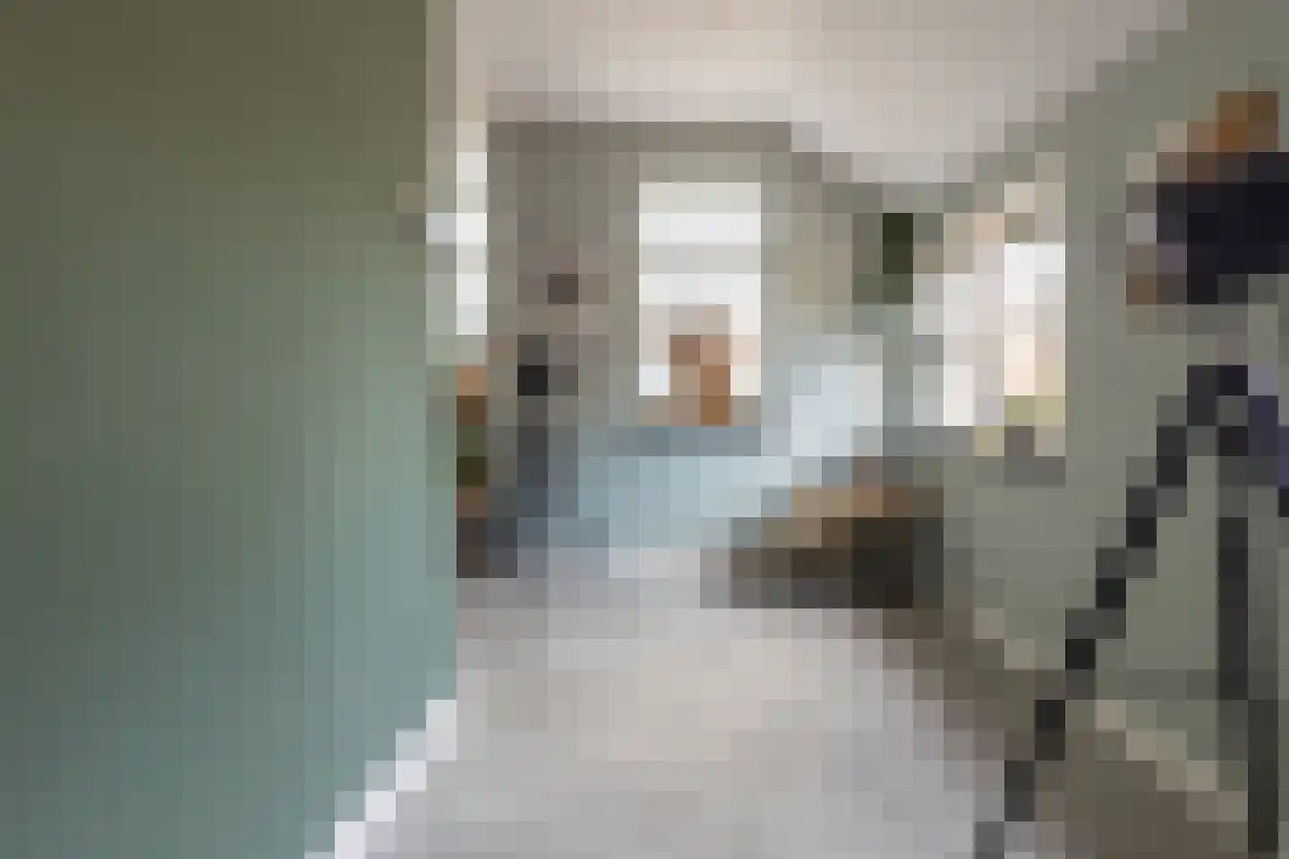 Beumeesweg 130 Alteveer thumbnail 26