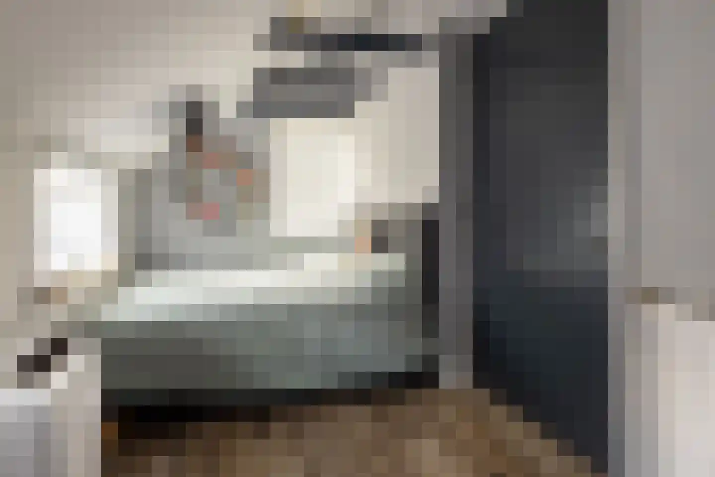 Beumeesweg 130 Alteveer thumbnail 28