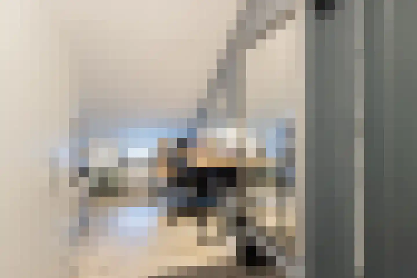 Beumeesweg 130 Alteveer thumbnail 30