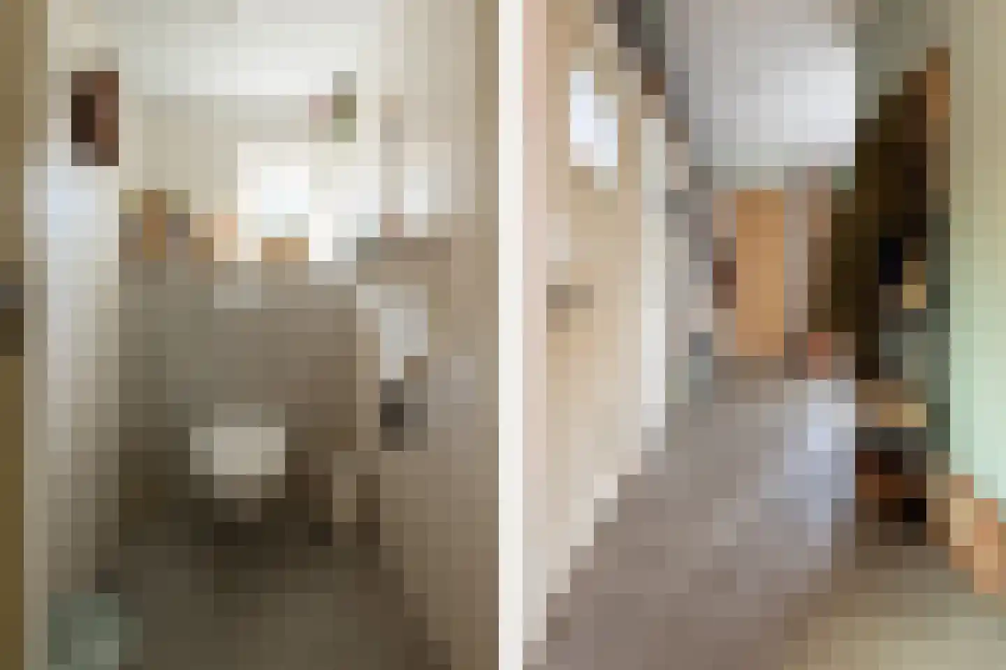 Beumeesweg 130 Alteveer thumbnail 31