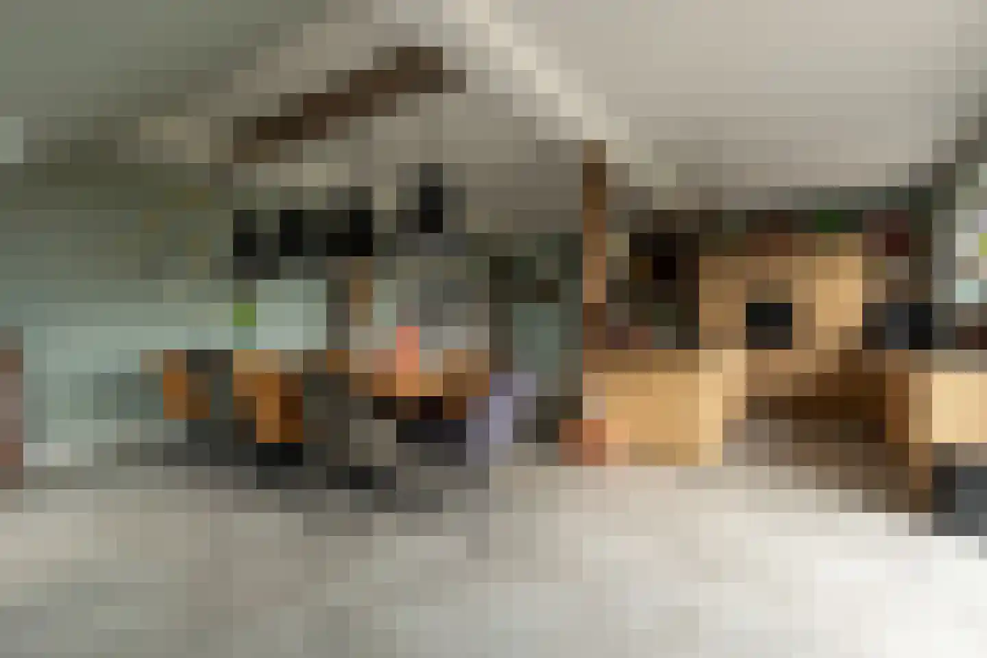 Beumeesweg 130 Alteveer thumbnail 34