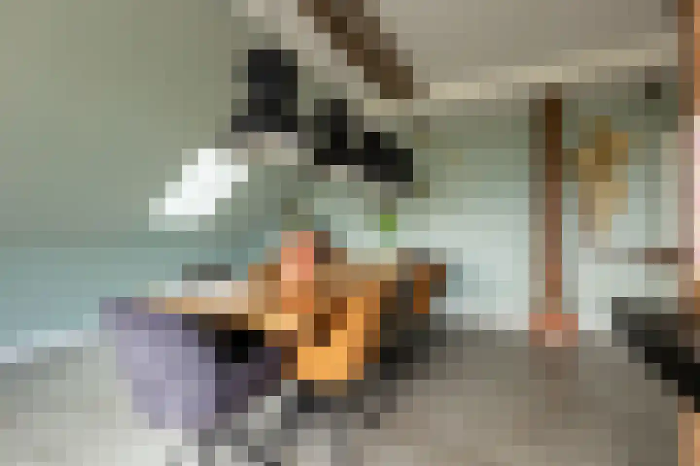 Beumeesweg 130 Alteveer thumbnail 35