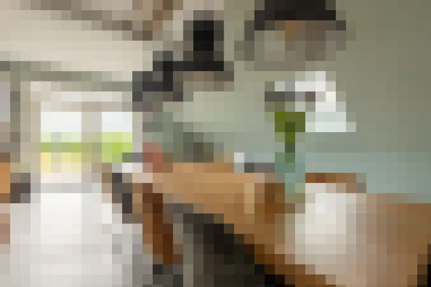 Beumeesweg 130 Alteveer thumbnail 36