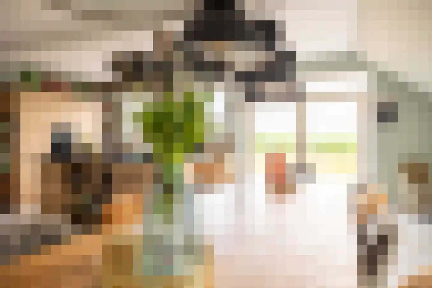 Beumeesweg 130 Alteveer thumbnail 37