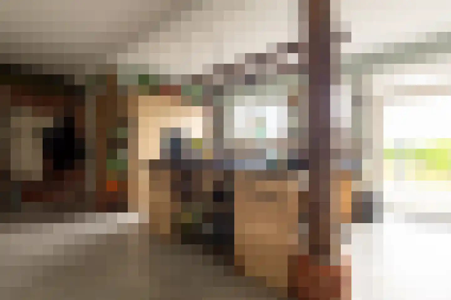 Beumeesweg 130 Alteveer thumbnail 38