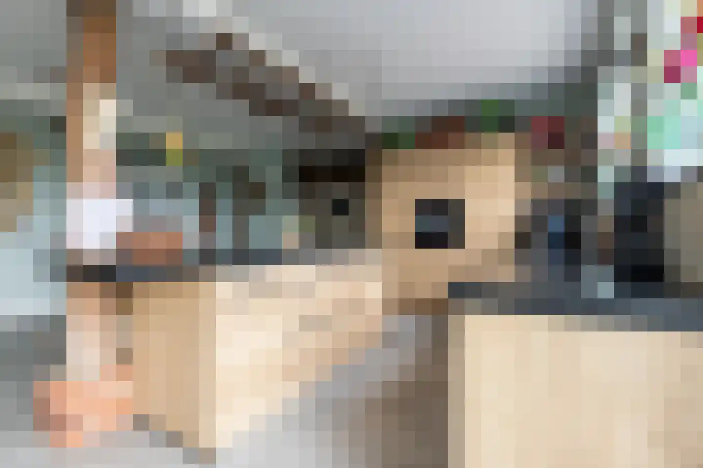 Beumeesweg 130 Alteveer thumbnail 39