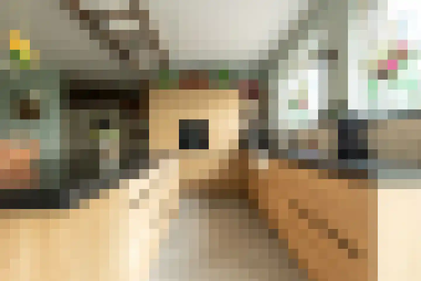 Beumeesweg 130 Alteveer thumbnail 41
