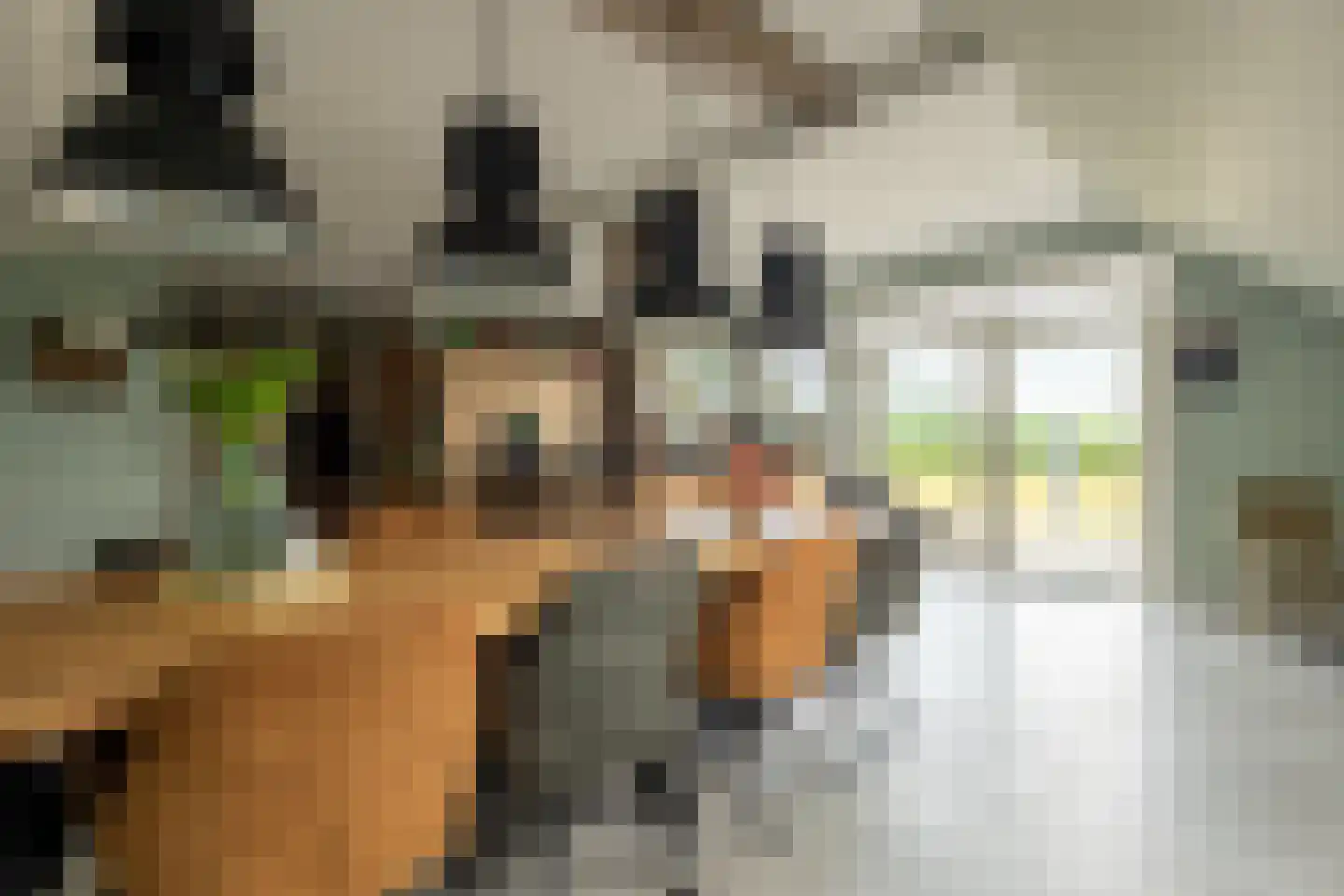 Beumeesweg 130 Alteveer thumbnail 42