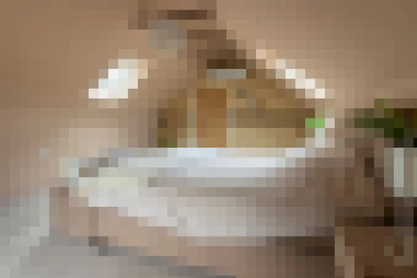 Beumeesweg 130 Alteveer thumbnail 44