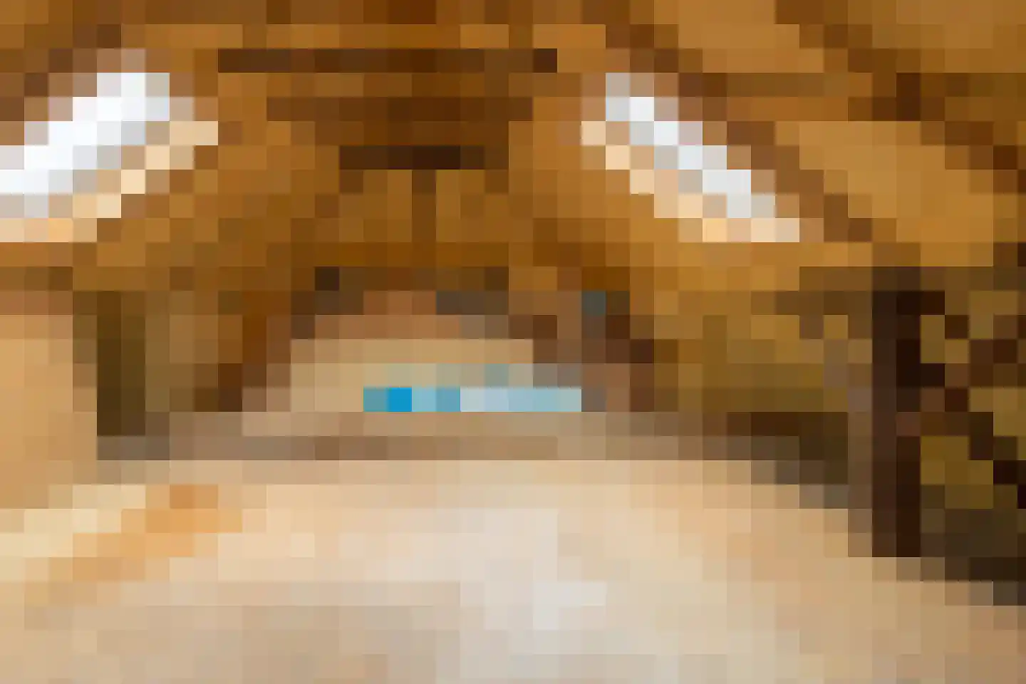 Beumeesweg 130 Alteveer thumbnail 46