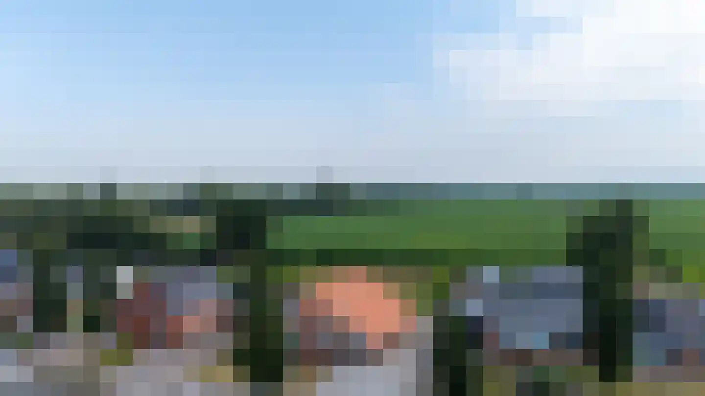 Beumeesweg 130 Alteveer thumbnail 5