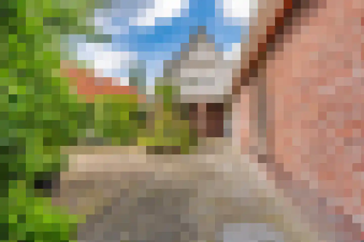 Beumeesweg 136 Alteveer thumbnail 11