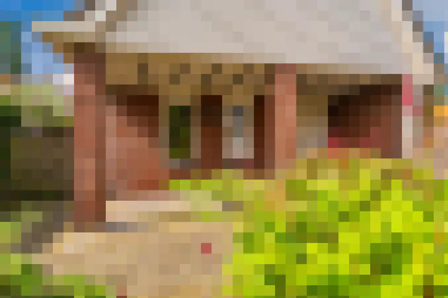 Beumeesweg 136 Alteveer thumbnail 12