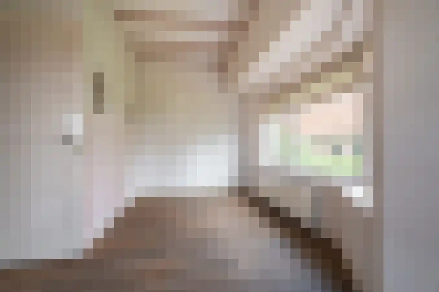 Beumeesweg 136 Alteveer thumbnail 15