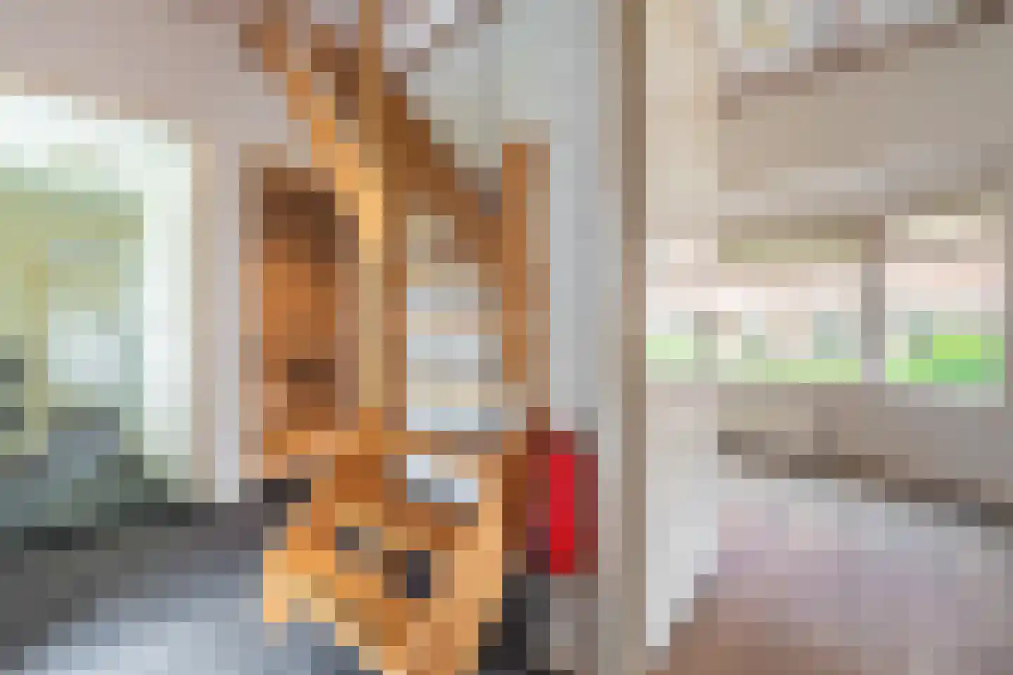 Beumeesweg 136 Alteveer thumbnail 17