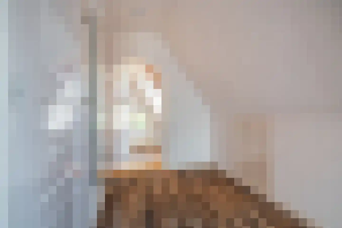 Beumeesweg 136 Alteveer thumbnail 27