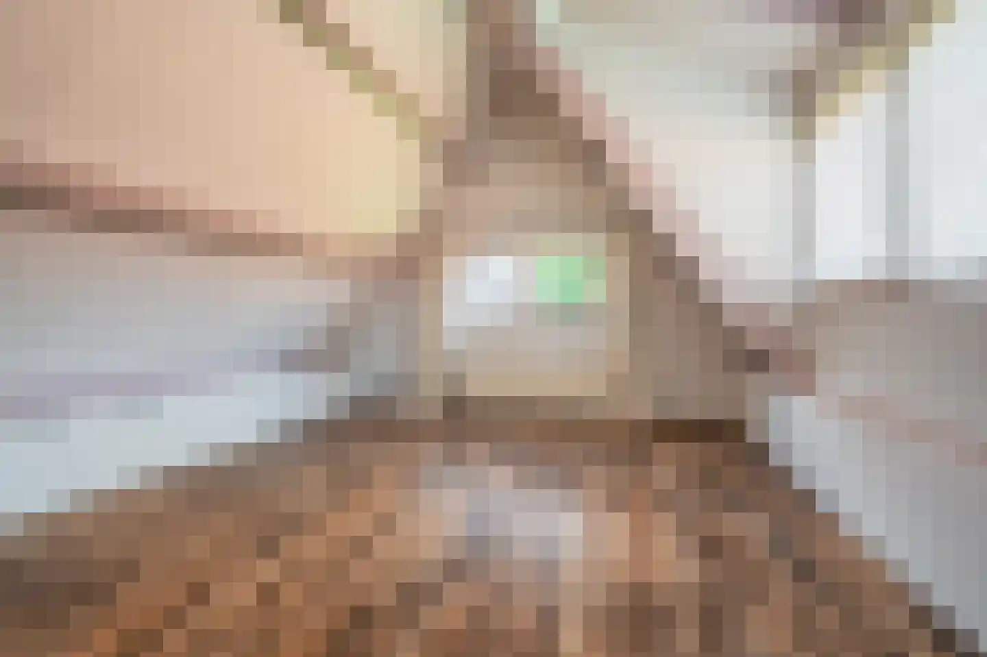 Beumeesweg 136 Alteveer thumbnail 28