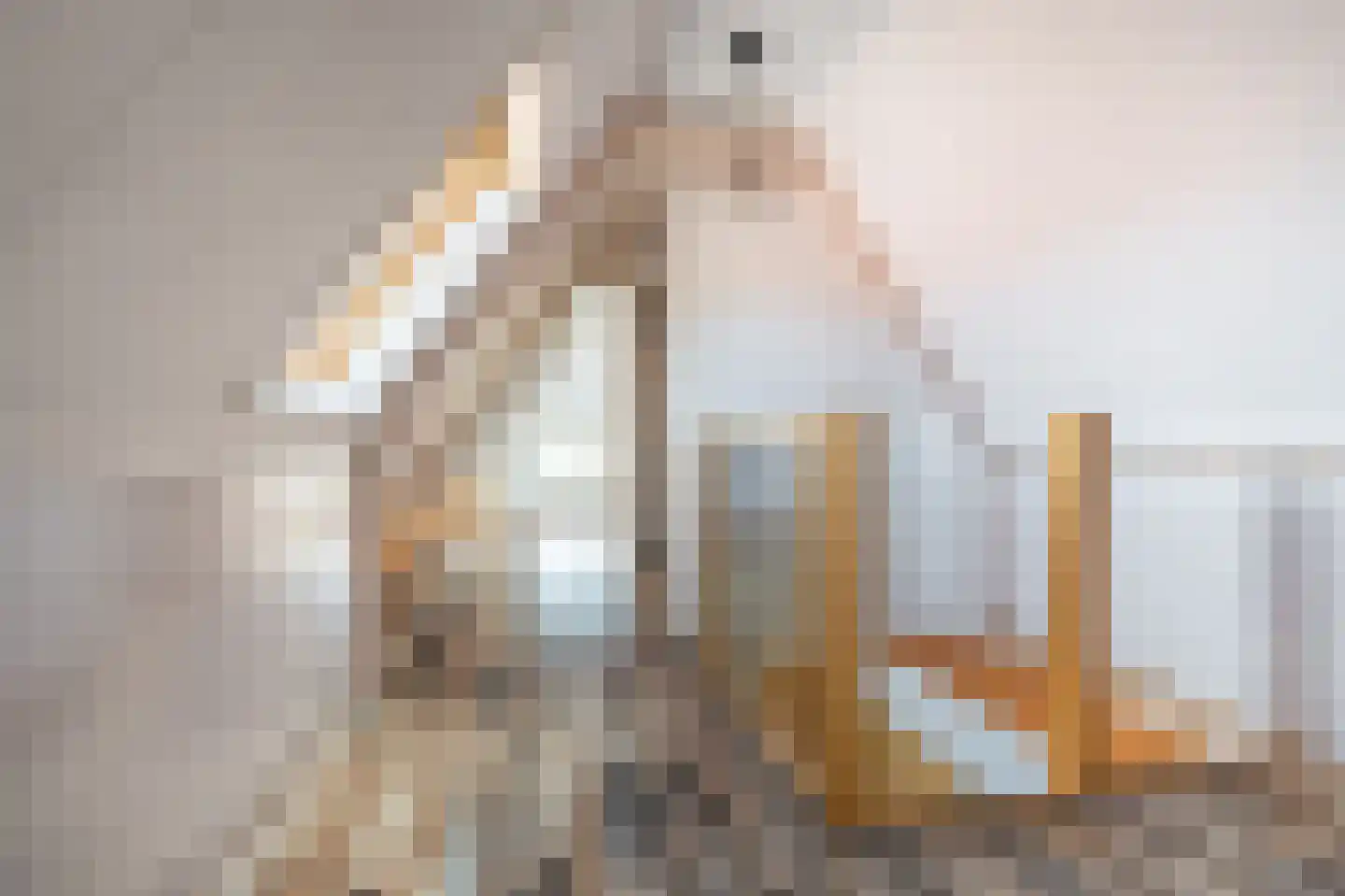 Beumeesweg 136 Alteveer thumbnail 30