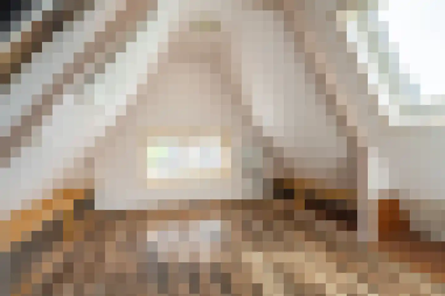 Beumeesweg 136 Alteveer thumbnail 31