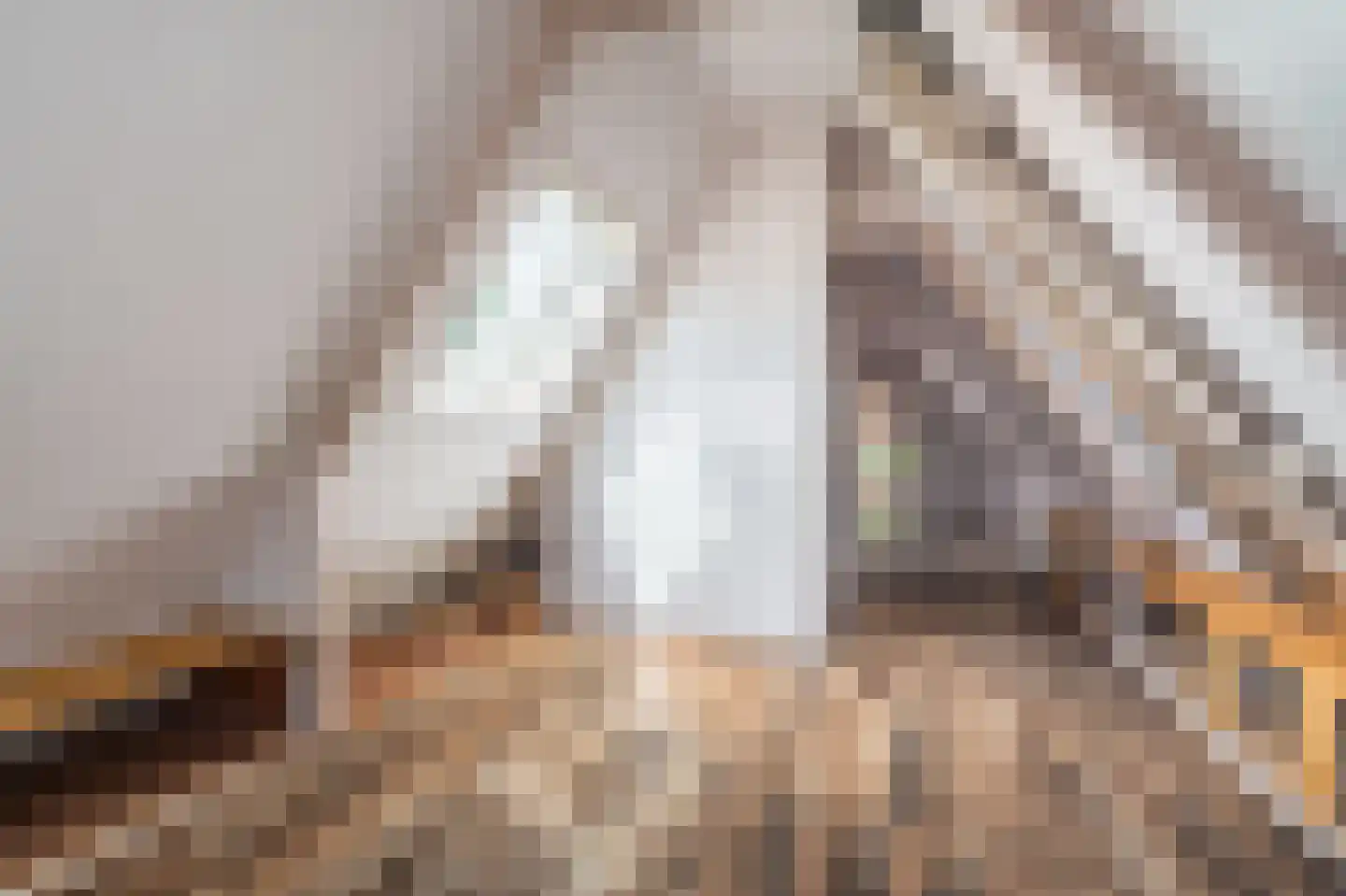 Beumeesweg 136 Alteveer thumbnail 32