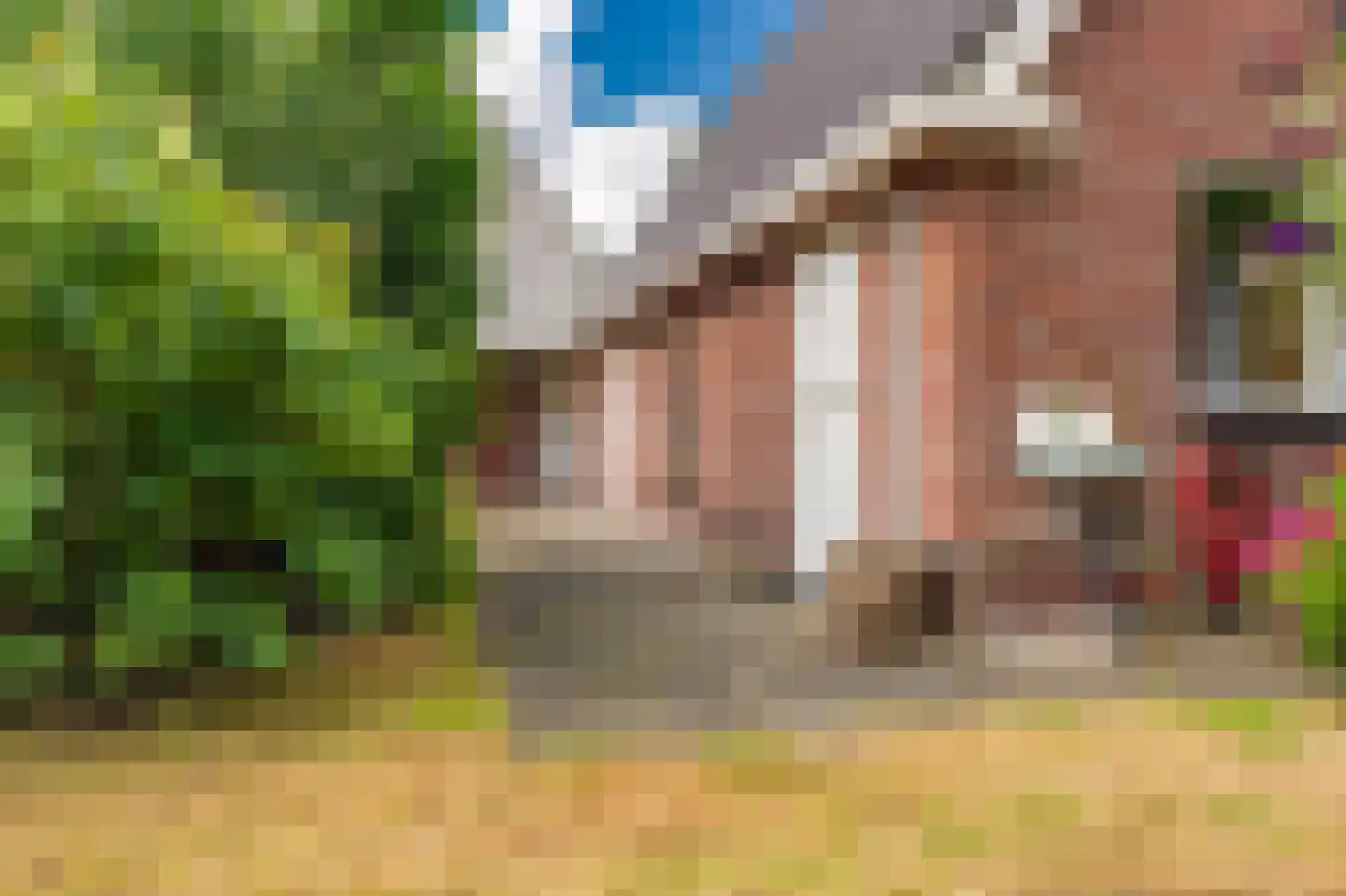 Beumeesweg 136 Alteveer thumbnail 8