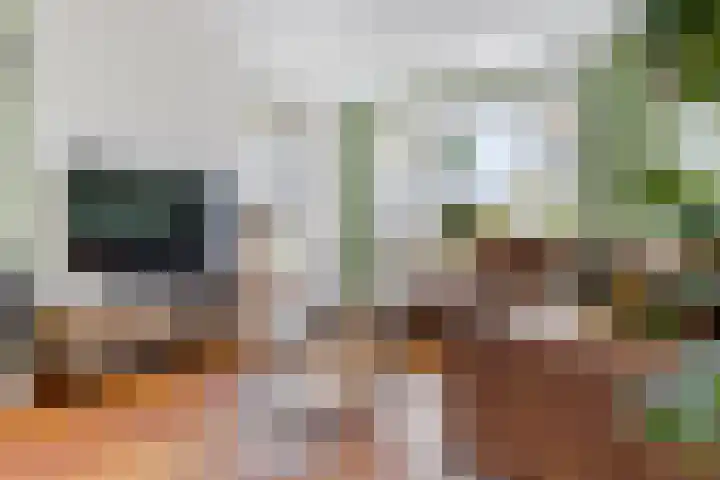 Beumeesweg 156 Alteveer thumbnail 12