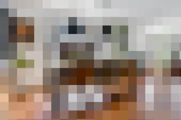 Beumeesweg 156 Alteveer thumbnail 15
