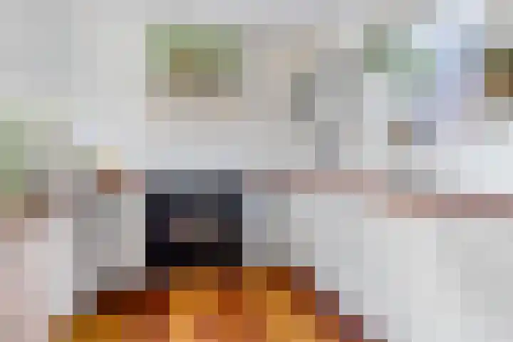 Beumeesweg 156 Alteveer thumbnail 17