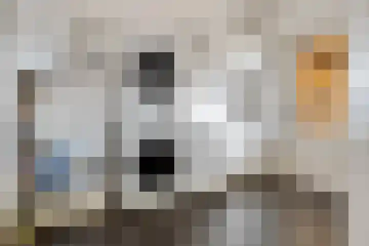 Beumeesweg 156 Alteveer thumbnail 19