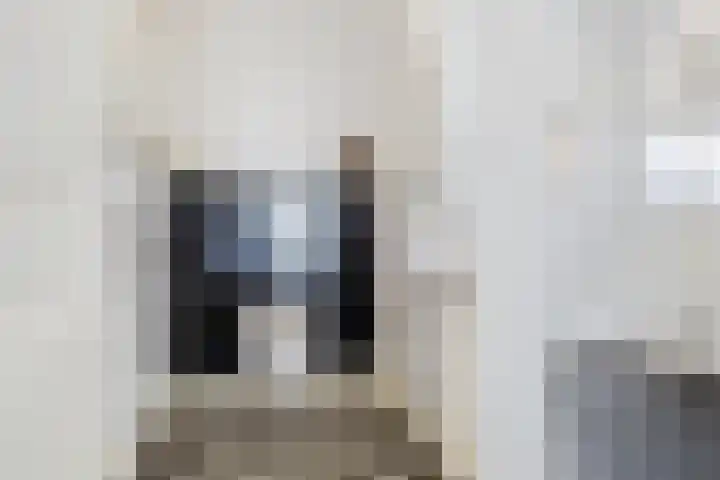Beumeesweg 156 Alteveer thumbnail 20