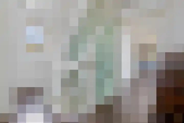 Beumeesweg 156 Alteveer thumbnail 25