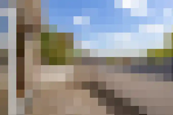 Beumeesweg 156 Alteveer thumbnail 32