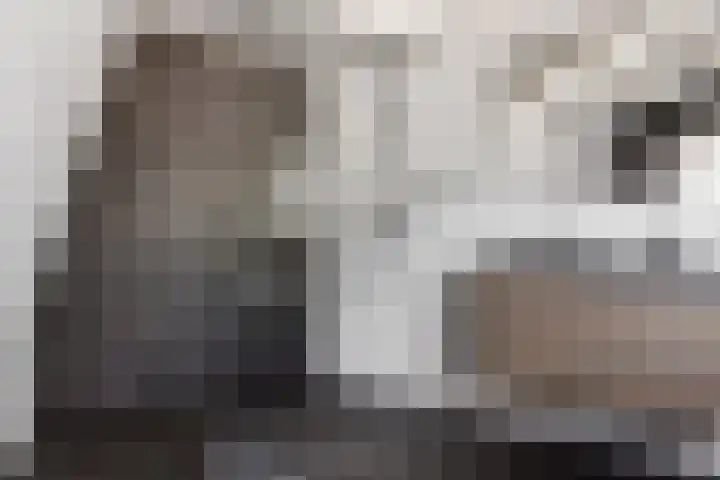 Beumeesweg 156 Alteveer thumbnail 34